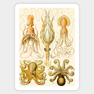 Vintage Underwater Octopus Illustration Sticker